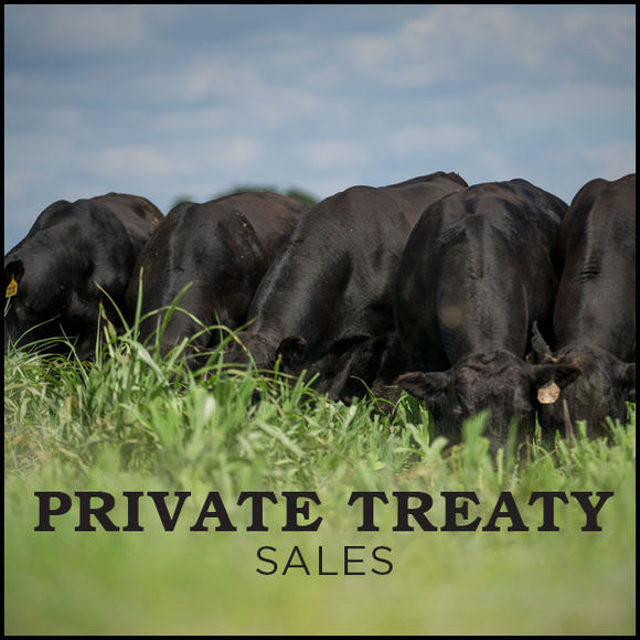 Private Treaty Sales